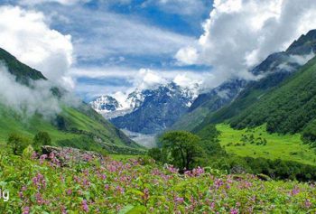 Valley of Flowers