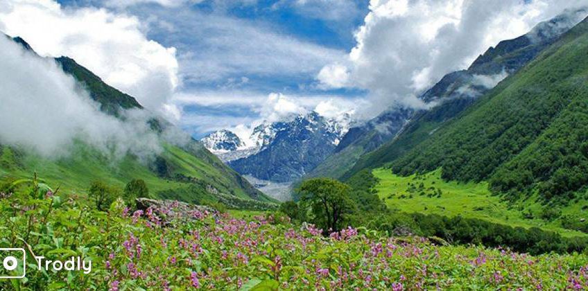 Valley of Flowers