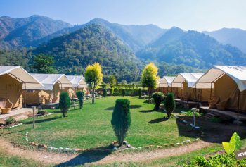 Camping in Rishikesh