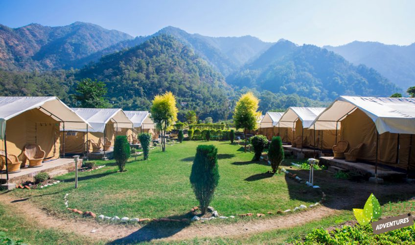 Camping in Rishikesh